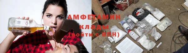 ПСИЛОЦИБИНОВЫЕ ГРИБЫ Алексин