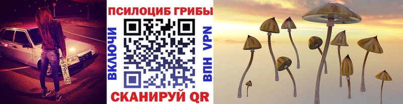 как найти закладки  Дюртюли  Псилоцибиновые грибы мицелий 